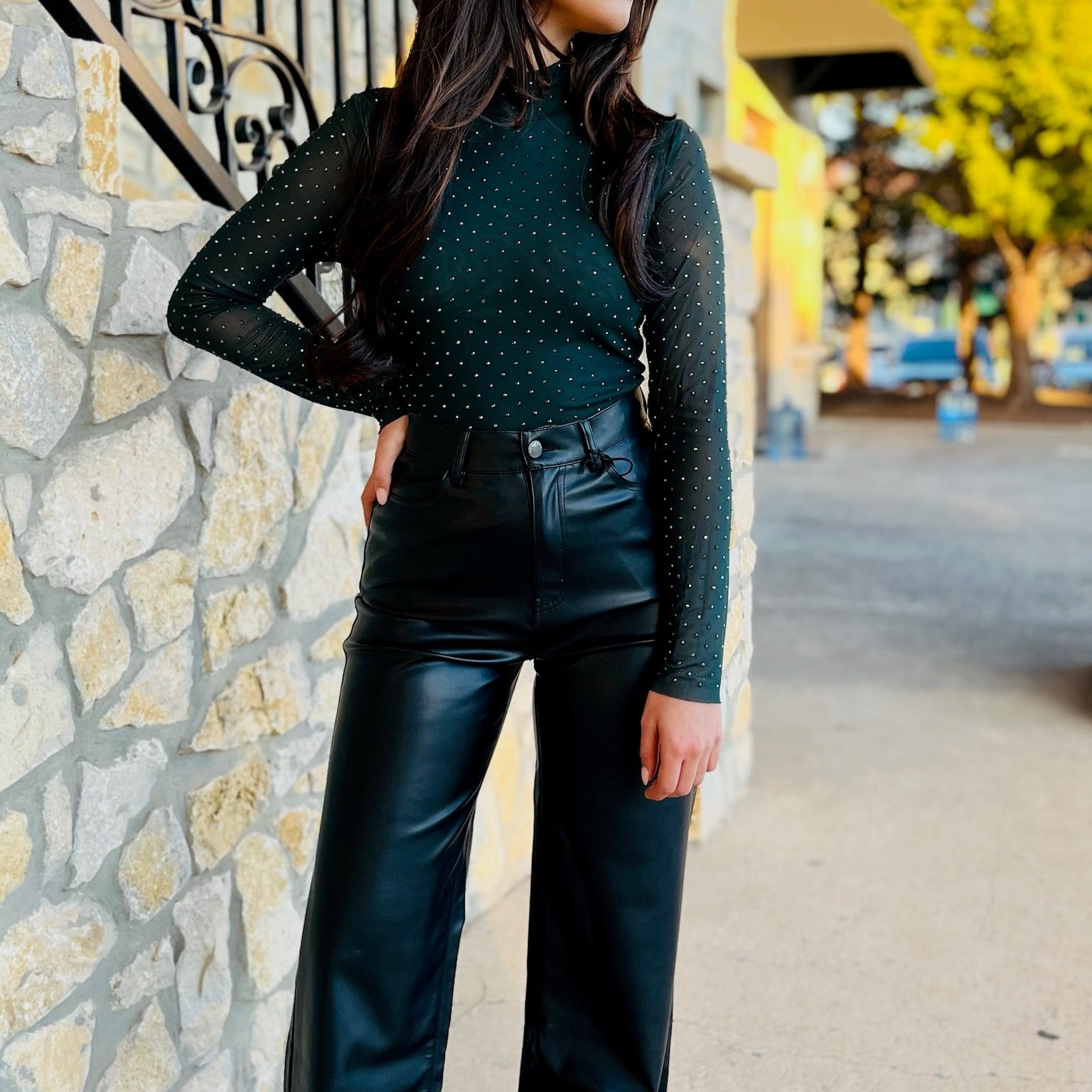 embellished mock neck top, sheer sleeve top, mesh long sleeve blouse, holiday party top, date night top, going out top for women, chic embellished top, glamorous evening top, lightweight dressy top, embellished mesh top, mock neck blouse women, green mock neck top, black embellished top, taupe mesh top, sparkly long sleeve top, layering tops for winter, dressy tops for jeans, clubwear tops women, sophisticated sexy top, semi sheer sleeve top, women's holiday outfit top, boutique evening top, embellished top