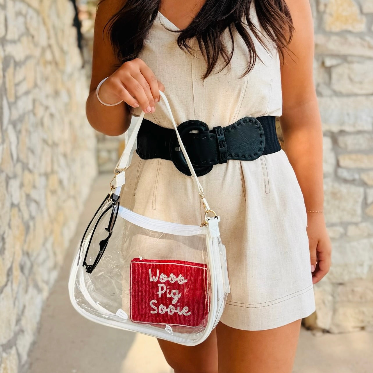 The All Access Clear Purse