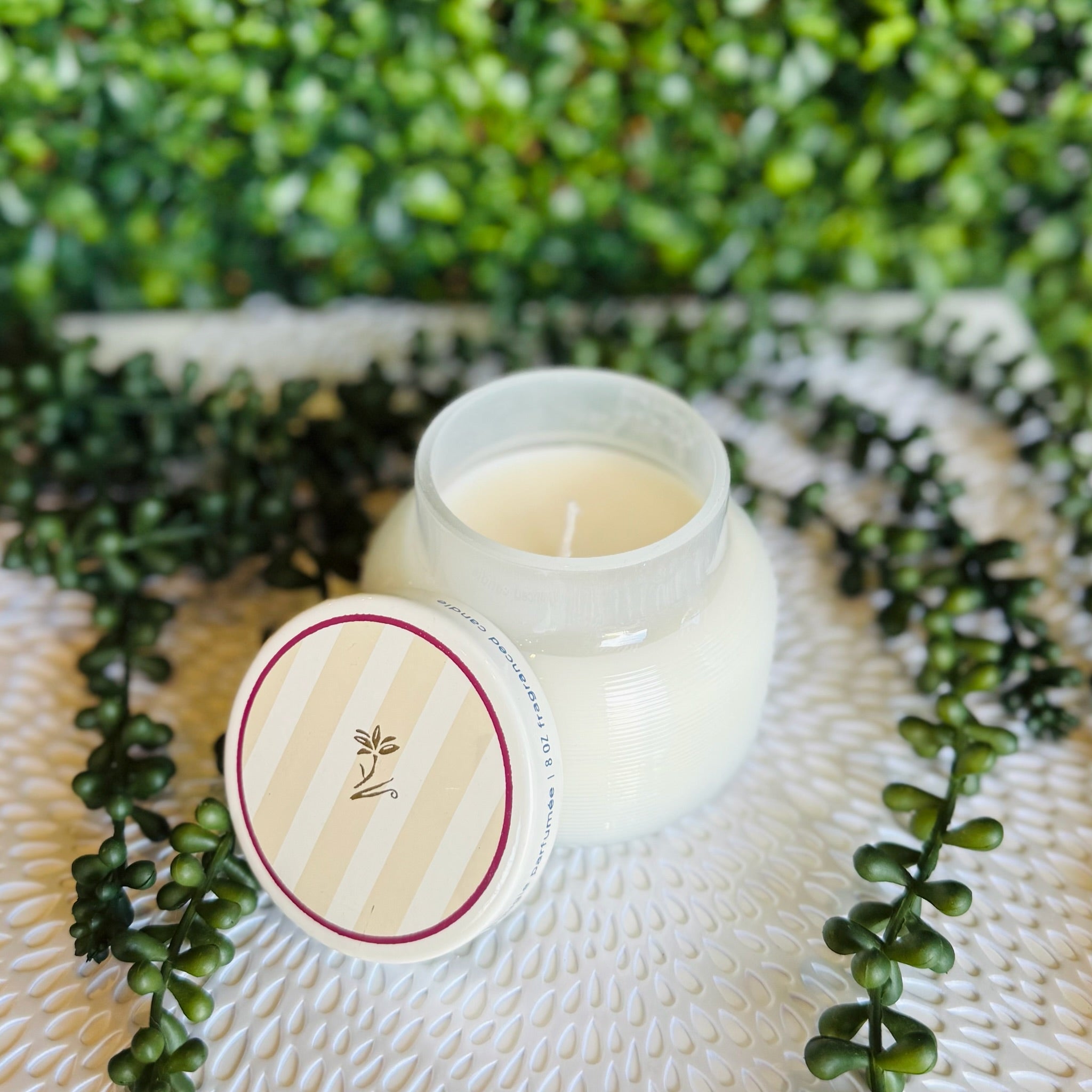 Havana Vanilla Caffe Capri 8oz Petite Candle