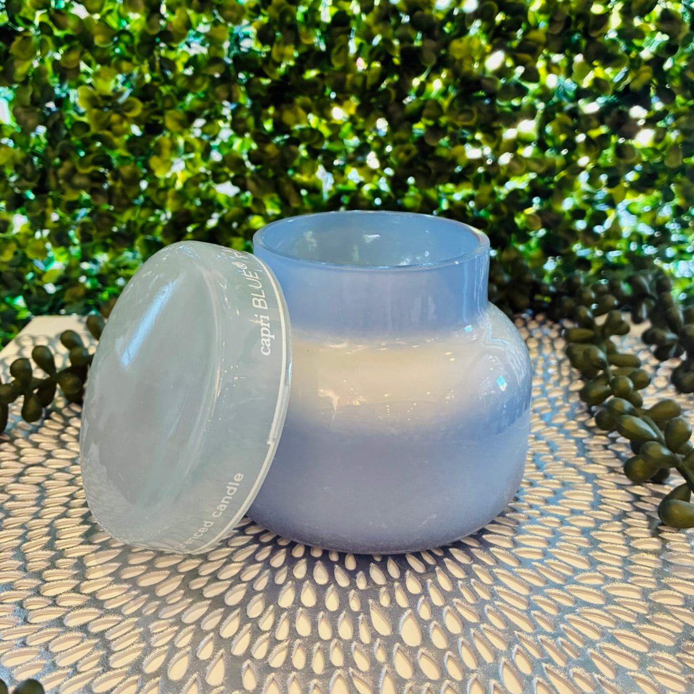 Havana Vanilla Luce d'Amalfi 8oz Petite Candle