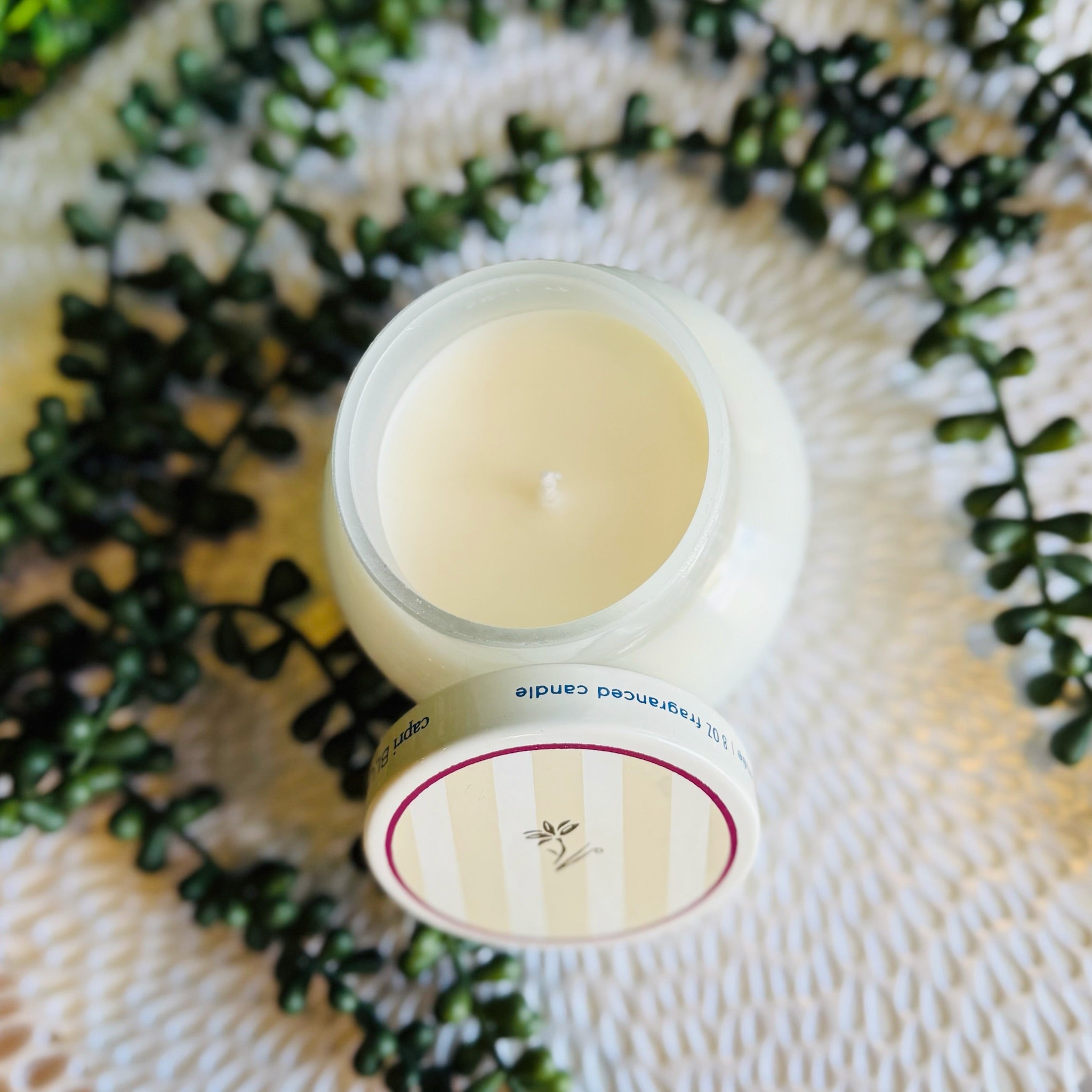 Havana Vanilla Caffe Capri 8oz Petite Candle